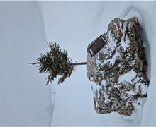 20260314_154130 - Gigliola Ioppi